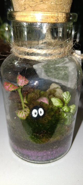 Nano terrario cerrado con corcho