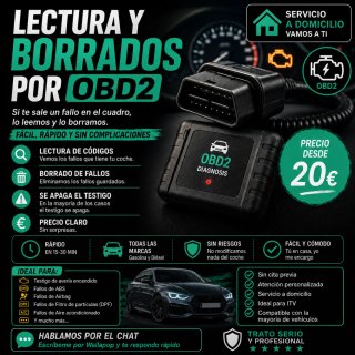 LECTURA Y BORRADO DE FALLOS OBD2 COCHES