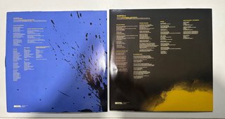 The Flaming Lips The Soft Bulletin 2 LPs