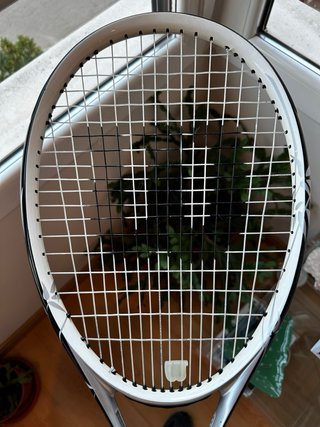Raqueta Wilson W2 Black Whisper 253g Frontenis