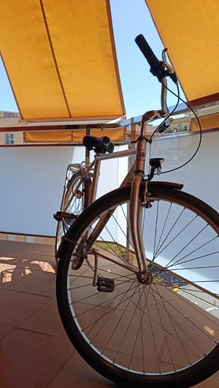 Bicicleta Kettler plateada