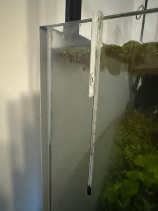 Termometro ADA 1cm