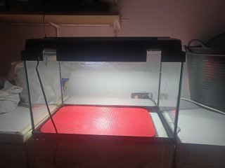 Acuario con base roja