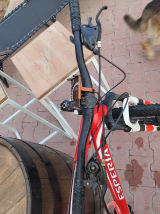 Bicicleta 29 Esperia Roja