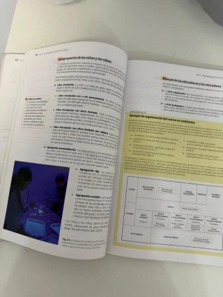 Libro didáctica de la educación infantil.