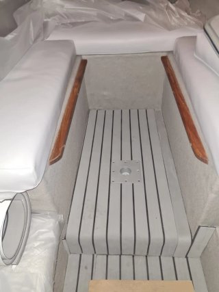 Barco Bayliner Trophy 8 metros