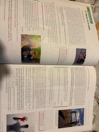 Religión Católica 4 Secundaria