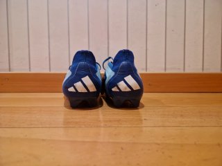 Botas futbol adidas predator