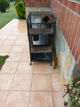 Jaula para chinchillas o hurones