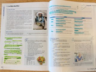 Lengua castellana y Literatura 2 ESO VICENS VIVES
