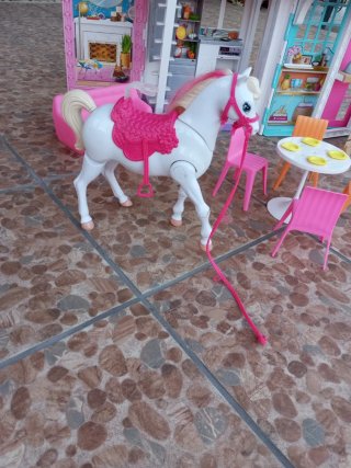 Casa de Barbie con Accesorios