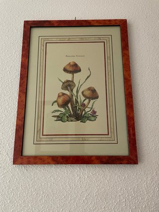 Cuadros , por venta de piso