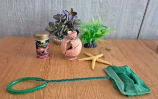 Decorazioni per acquario