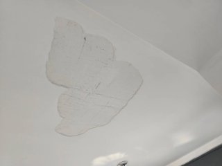 Protector de suelo para pintura