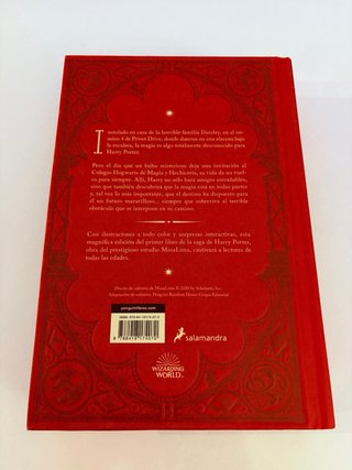 Harry Potter y la piedra filosofal (Ed. Minalim...