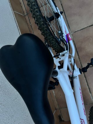 Bici infantil DENBIKE 20 con diseño