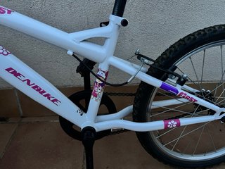 Bici infantil DENBIKE 20 con diseño