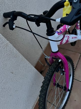 Bici infantil DENBIKE 20 con diseño