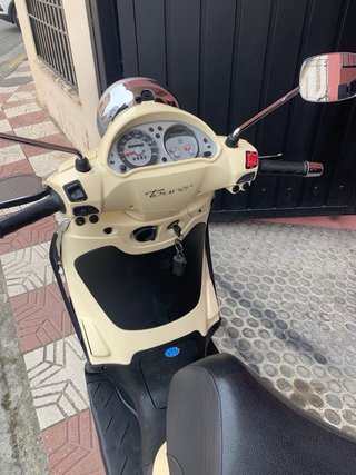 Moto piagio