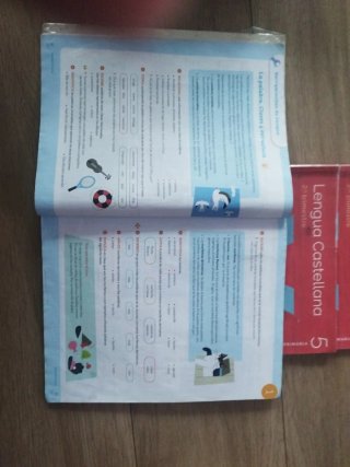 Lengua castellana, 5 Primaria