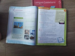 Lengua castellana, 5 Primaria