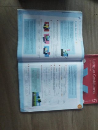 Lengua castellana, 5 Primaria
