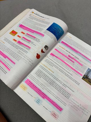 1 Bachillerato, Economía Revuela