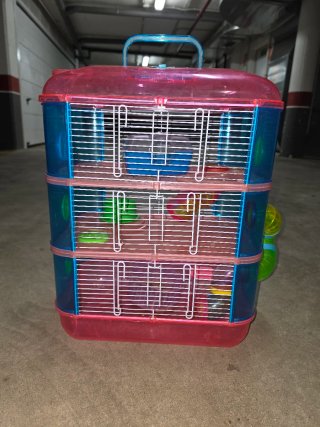 Jaula hamster