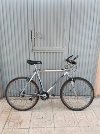 Bicicleta de montaña plateada