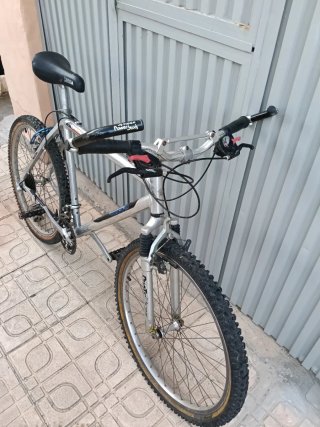 Bicicleta de montaña plateada