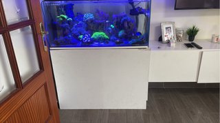 Acuario Marino Completo 180L