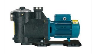 Bomba Piscina Calpeda MPCM 31/A Autoaspirante