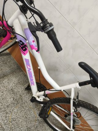 Bicicleta Denbike 20 Niña