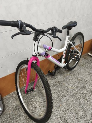 Bicicleta Denbike 20 Niña