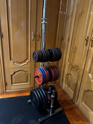 Gimnasio en casa mancuernas barras y discos 136kg