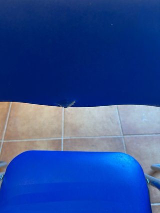 Juego de 4 Sillas Plegables