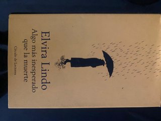 Lote de libros y novelas contemporáneas.