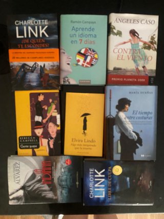 Lote de libros y novelas contemporáneas.