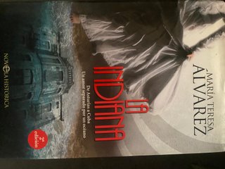 Lote de libros y novelas contemporáneas.
