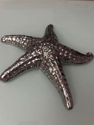 Estrella de mar decorativa plateada