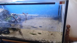 Acuario cristal 120x50x50