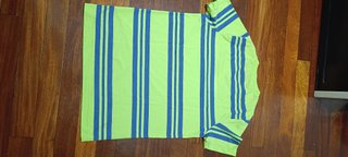 Camiseta Hollister Rayas Verde y Azul