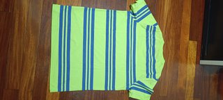 Camiseta Hollister Rayas Verde y Azul