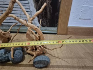 Raíces y piedras para acuario