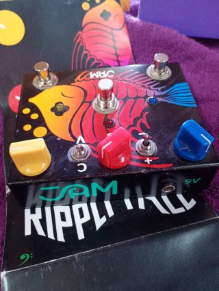 JAM PEDALS RIPPLY FALL BASS+ENVIO INCLUIDO