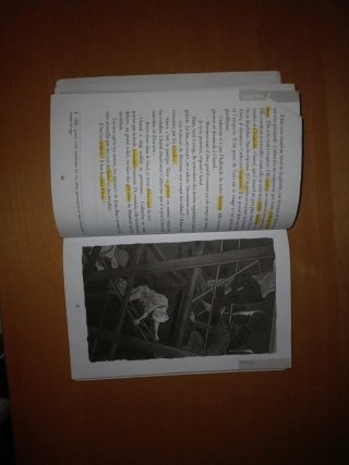 Libro de lectura en francés Germinal