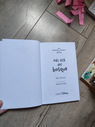 Amigas de nunca jamás