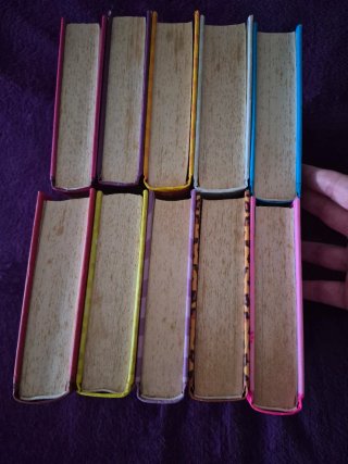 10 LIBROS Diario de nikki