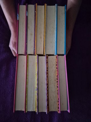 10 LIBROS Diario de nikki