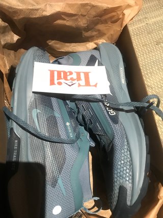 Nike Pegasus Trail 5 GTX Talla 40.5